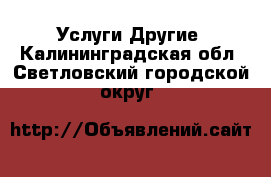 Услуги Другие. Калининградская обл.,Светловский городской округ 